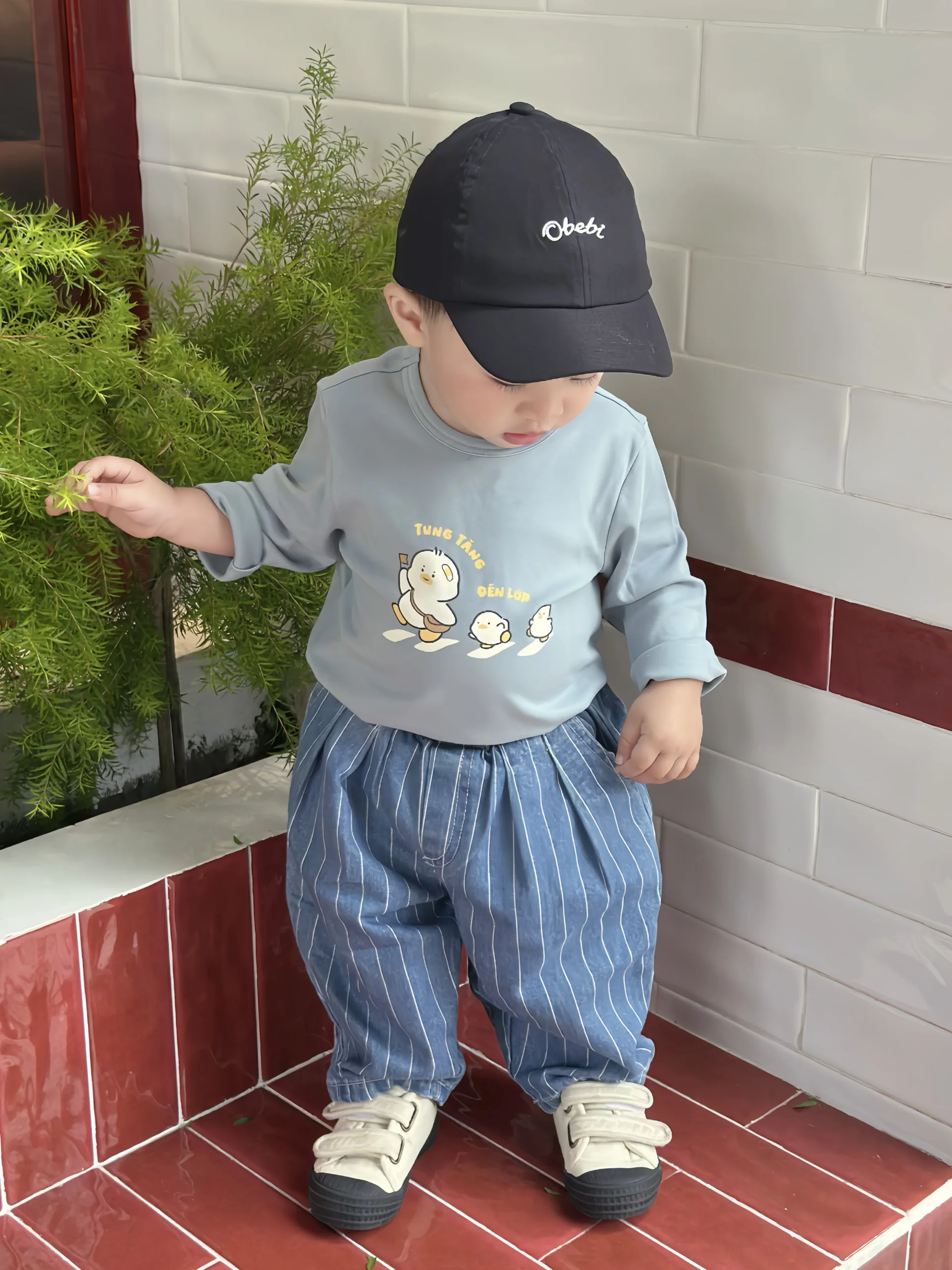 Obebi
